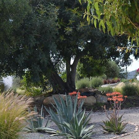 몬카라파초 Quinta Luz Do Sol B&B 외부 사진